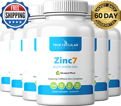 Boost Your <span>Daily Wellness</span>